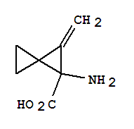 (9ci)-1--2-׻-[2.2]Y(ji)(gu)ʽ_760929-97-3Y(ji)(gu)ʽ