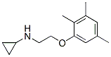 (8ci)-n-[2-(2,3,5-׻)һ]-h(hun)Y(ji)(gu)ʽ_802834-89-5Y(ji)(gu)ʽ