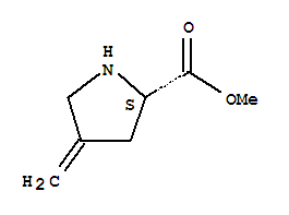 (9ci)-4-׻-L-Yʽ_84348-40-3Yʽ