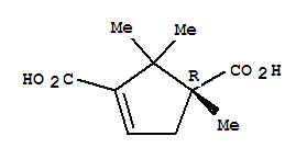 (r)-(9ci)-1,2,2-׻-3-h(hun)ϩ-1,3-Y(ji)(gu)ʽ_87798-58-1Y(ji)(gu)ʽ