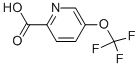 5-()ऽYʽ_102771-66-4Yʽ