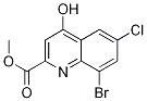 8--6--4-u-2-Yʽ_1133116-01-4Yʽ