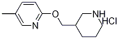 5-׻-2-(-3-)-}}Y(ji)(gu)ʽ_1185308-79-5Y(ji)(gu)ʽ