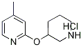 4-׻-2-(-3-)-}}Y(ji)(gu)ʽ_1185310-94-4Y(ji)(gu)ʽ
