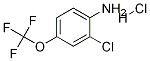 2--4-()}}Y(ji)(gu)ʽ_1187386-31-7Y(ji)(gu)ʽ