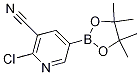 2--5-(4,4,5,5-ļ׻-1,3,2-f-2-)Yʽ_1220220-02-9Yʽ