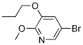 5--2--3-ऽYʽ_1241752-40-8Yʽ