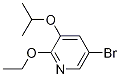 5--2--3-ऽY(ji)(gu)ʽ_1241752-43-1Y(ji)(gu)ʽ