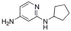 N2-h(hun)-2,4-Y(ji)(gu)ʽ_1247500-24-8Y(ji)(gu)ʽ