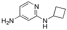 N2-h(hun)-2,4-Y(ji)(gu)ʽ_1248791-40-3Y(ji)(gu)ʽ
