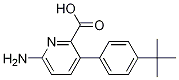 6--3-(4-t- )ऽY(ji)(gu)ʽ_1261913-25-0Y(ji)(gu)ʽ