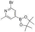 2--4-(4,4,5,5-ļ׻-1,3,2-f-2-)-6-׻ऽY(ji)(gu)ʽ_1321518-06-2Y(ji)(gu)ʽ
