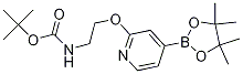 (2-((4-(4,4,5,5-ļ׻-1,3,2-f-2-)-2-))һ)嶡Y(ji)(gu)ʽ_1346697-27-5Y(ji)(gu)ʽ