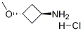 ʽ-3-h(hun)}}Y(ji)(gu)ʽ_1363381-00-3Y(ji)(gu)ʽ