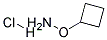 O-h(hun)u}}Y(ji)(gu)ʽ_137270-23-6Y(ji)(gu)ʽ