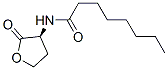 -L-߽z(ni)Y(ji)(gu)ʽ_147852-84-4Y(ji)(gu)ʽ