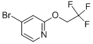 4--2-(2,2,2-)ऽY(ji)(gu)ʽ_161952-62-1Y(ji)(gu)ʽ
