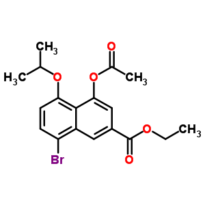 4-()-8--5-(1-׻)-2-Y(ji)(gu)ʽ_185310-19-4Y(ji)(gu)ʽ