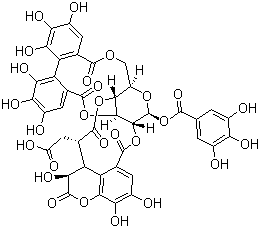X|(zh)Y(ji)(gu)ʽ_23094-71-5Y(ji)(gu)ʽ