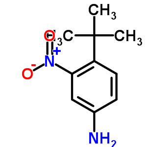 4-(1,1-׻һ)-3-Y(ji)(gu)ʽ_31951-12-9Y(ji)(gu)ʽ