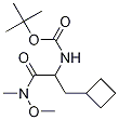 N-[1-(h(hun)׻)-2-(׻)-2-һ]-1,1-׻Y(ji)(gu)ʽ_394735-18-3Y(ji)(gu)ʽ