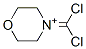 (9CI)-4-()-Y(ji)(gu)ʽ_790600-30-5Y(ji)(gu)ʽ