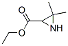 3,3-׻-2-Y(ji)(gu)ʽ_84024-59-9Y(ji)(gu)ʽ