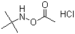 O--N-嶡u}}Y(ji)(gu)ʽ_851074-40-3Y(ji)(gu)ʽ