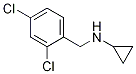 h(hun)-(2,4--S)-Y(ji)(gu)ʽ_892568-95-5Y(ji)(gu)ʽ