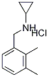N-(2,3-׻S)h(hun)}}Y(ji)(gu)ʽ_909702-86-9Y(ji)(gu)ʽ