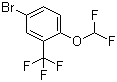 4--1-()-2-(׻)Yʽ_954236-13-6Yʽ
