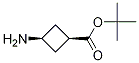 ʽ-3-h(hun)嶡Y(ji)(gu)ʽ_957793-95-2Y(ji)(gu)ʽ