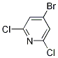 4--2,6-ऽY(ji)(gu)ʽ_98027-80-6Y(ji)(gu)ʽ