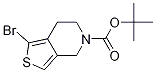 1--6,7-Բ[3,4-c]-5(4h)-嶡Y(ji)(gu)ʽ_1000577-96-7Y(ji)(gu)ʽ