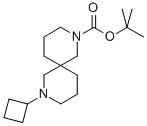 8-h(hun)-2,8-s[4.5]-2- 1,1-׻Y(ji)(gu)ʽ_1001054-52-9Y(ji)(gu)ʽ