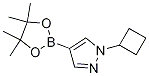 1-h(hun)-4-(4,4,5,5-ļ׻-1,3,2-f-2-)-1H-Y(ji)(gu)ʽ_1002309-48-9Y(ji)(gu)ʽ