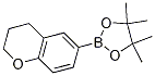 6-(4,4,5,5-ļ׻-1,3,2-f-2-)૽Y(ji)(gu)ʽ_1002727-88-9Y(ji)(gu)ʽ