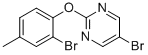 5--2-(2--4-׻)ऽY(ji)(gu)ʽ_1017789-01-3Y(ji)(gu)ʽ