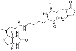 N-(3-R(li))ؽY(ji)(gu)ʽ_102849-12-7Y(ji)(gu)ʽ