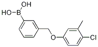 3-[(4--3-׻)׻]Y(ji)(gu)ʽ_1072951-91-7Y(ji)(gu)ʽ
