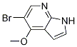 5--4--1H-[2,3-B]ऽY(ji)(gu)ʽ_1092579-95-7Y(ji)(gu)ʽ