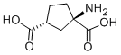 (1R,3R)-ACPDYʽ_111900-33-5Yʽ
