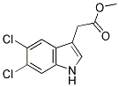 5,6--3-Y(ji)(gu)ʽ_113537-13-6Y(ji)(gu)ʽ