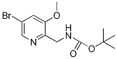 (5--3--2-)-׻嶡Y(ji)(gu)ʽ_1138443-96-5Y(ji)(gu)ʽ