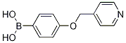 4-(-4-)Y(ji)(gu)ʽ_1228181-39-2Y(ji)(gu)ʽ