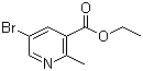 5--2-׻Y(ji)(gu)ʽ_129477-21-0Y(ji)(gu)ʽ