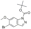 1-Boc-5--6--1H-Y(ji)(gu)ʽ_1305320-56-2Y(ji)(gu)ʽ