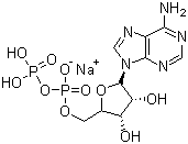ADP,5c}Y(ji)(gu)ʽ_20398-34-9Y(ji)(gu)ʽ