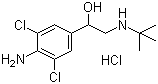 }ˁ_Yʽ_21898-19-1Yʽ