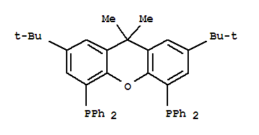 (R,r)-2,7--嶡-9,9-׻-4,5-p(׻)sY(ji)ʽ_221462-97-1Y(ji)ʽ